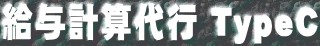 給与計算代行 TypeC
